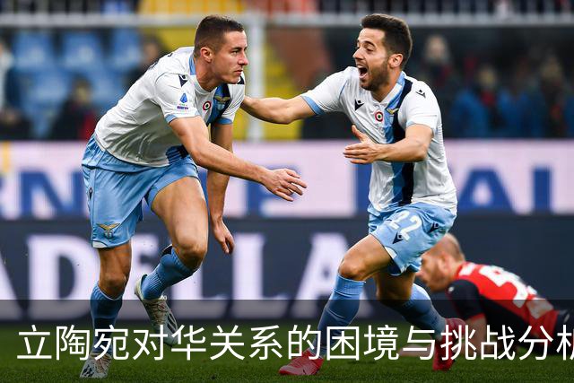 立陶宛对华关系的困境与挑战分析